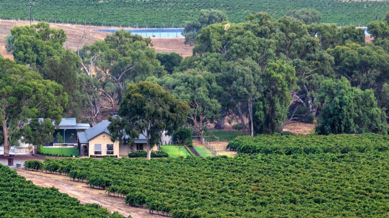 Triple Creek Guest House - Barossa Region Seppeltsfield Kültér fotó